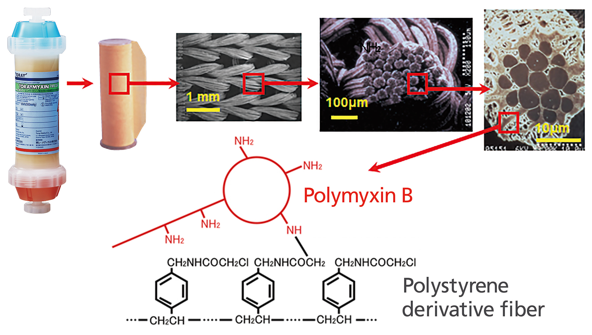 Structure of TORAYMYXIN™